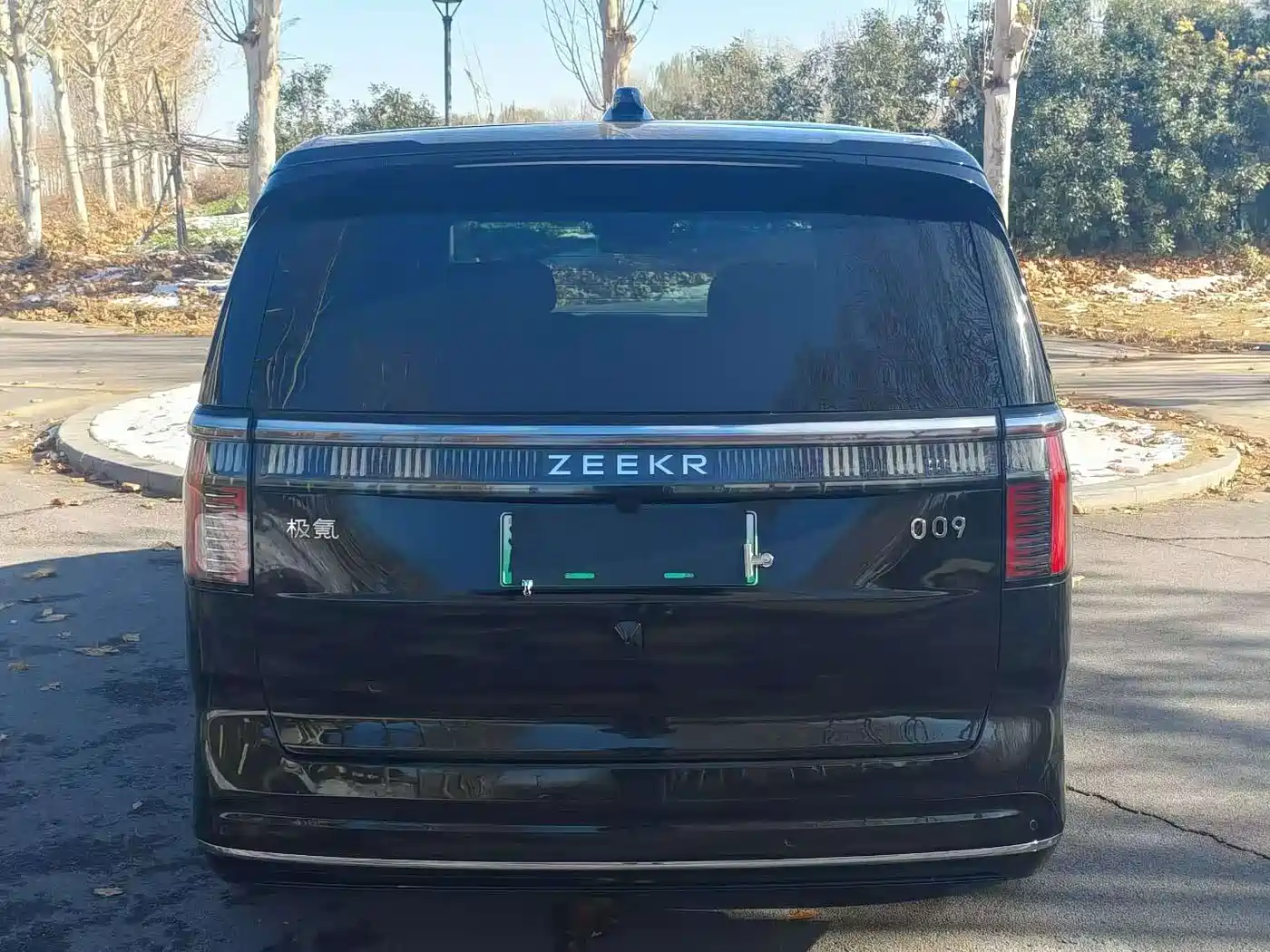 ZEEKR EXTREME KRYPTON 009