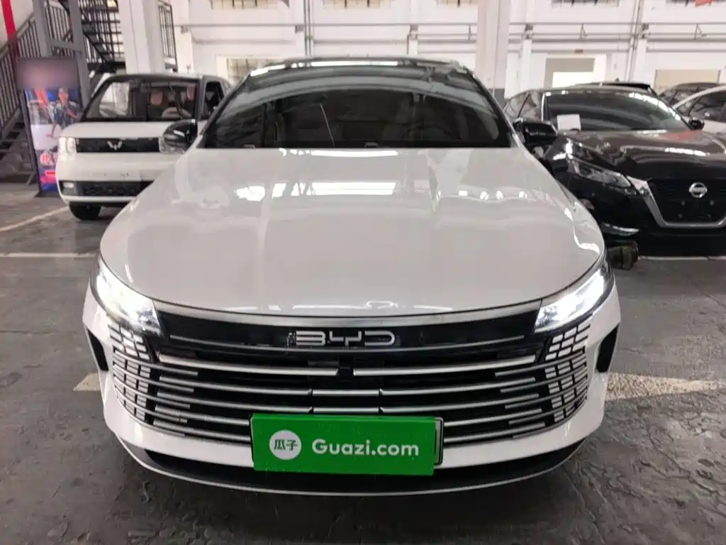 BYD Destroyer 05 2024 2024 Glory Edition DM-i 55KM Luxury