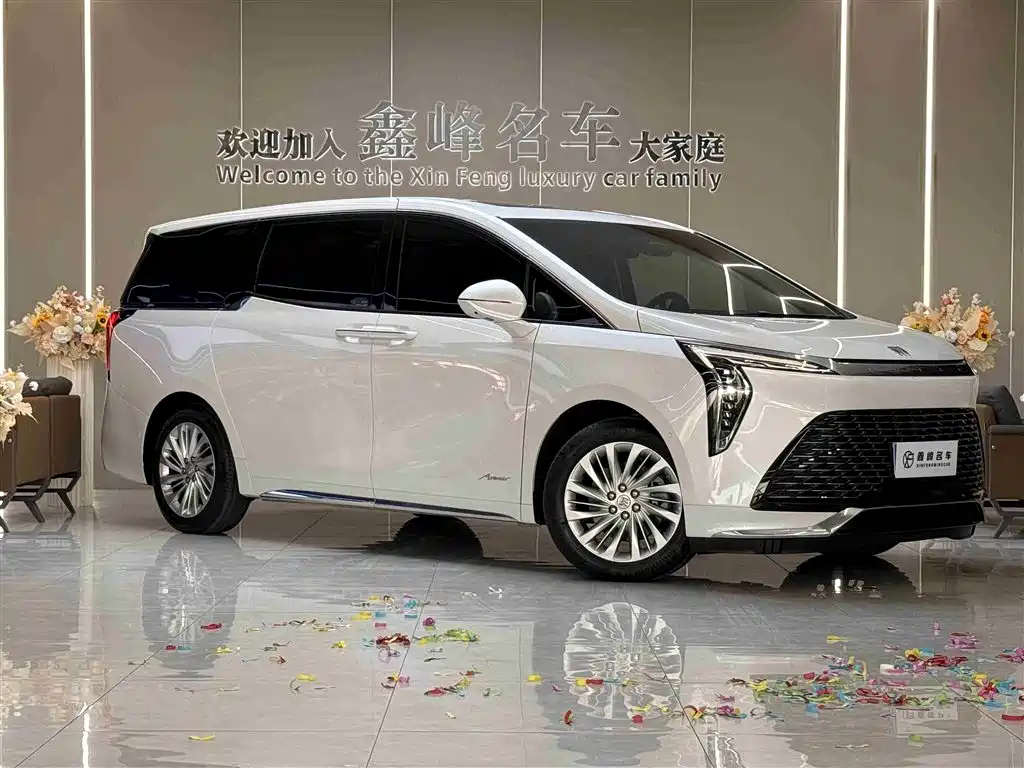 Buick Century 2025 2.0T 7-Seater World Edition фото 3