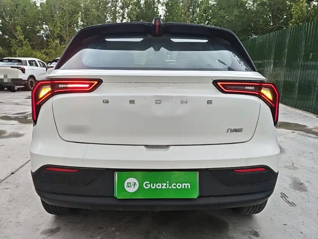 Geely Geometry E Firefly 2024 2024 Model 301km Light Flow