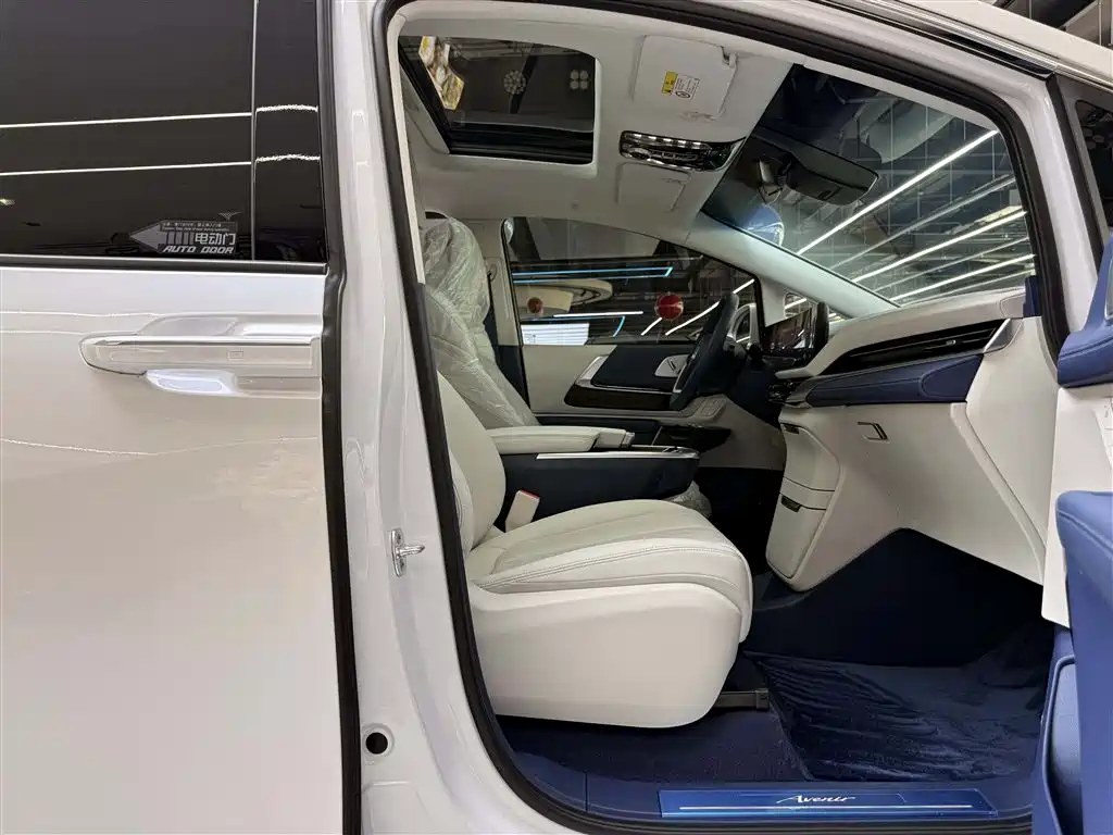 Buick Century 2025 2.0T 7-Seater World Edition фото 11