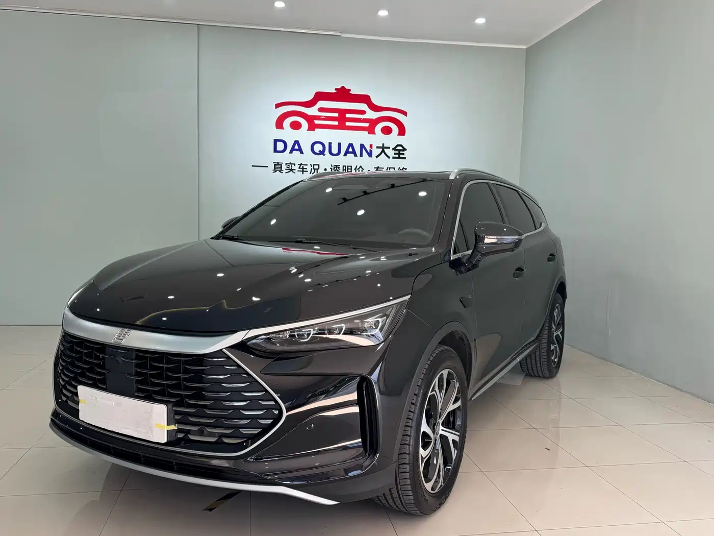 BYD Tang New Energy 2025 DM-i 115KM Flagship