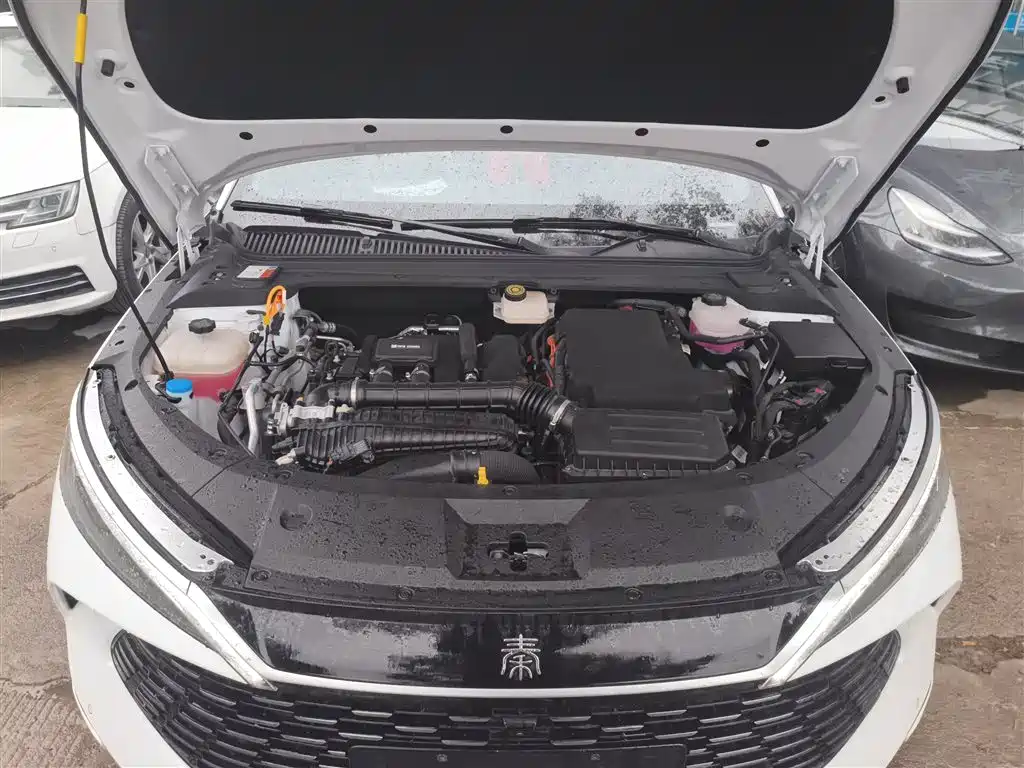 BYD Qin L 2024 DM-i 80KM Superior фото 19