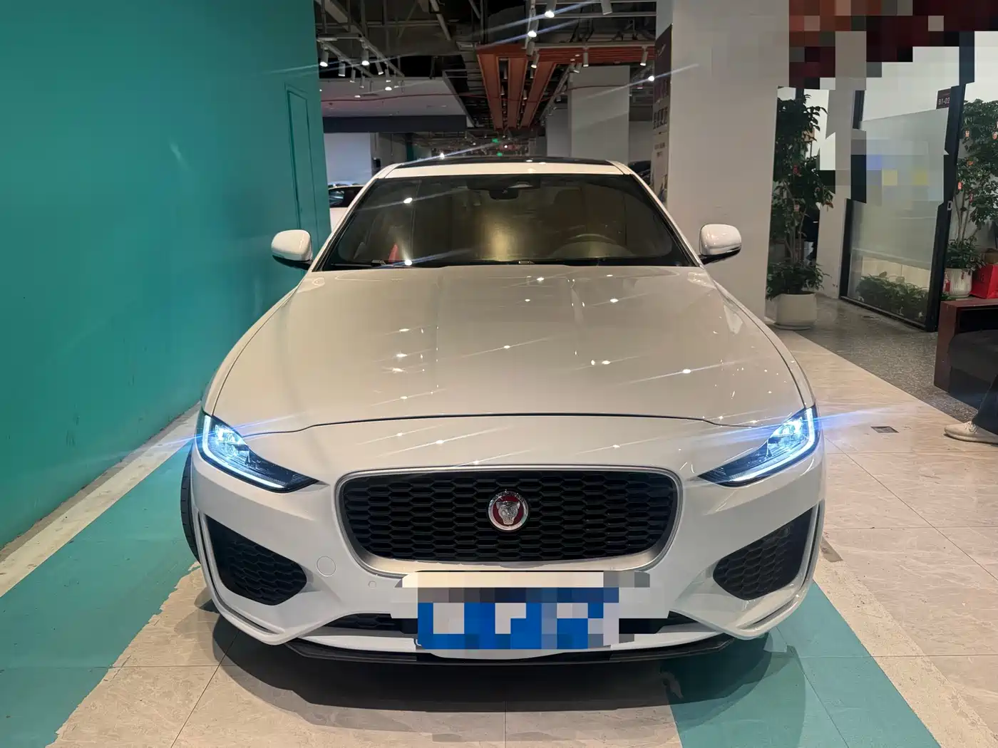 JAGUAR XEL