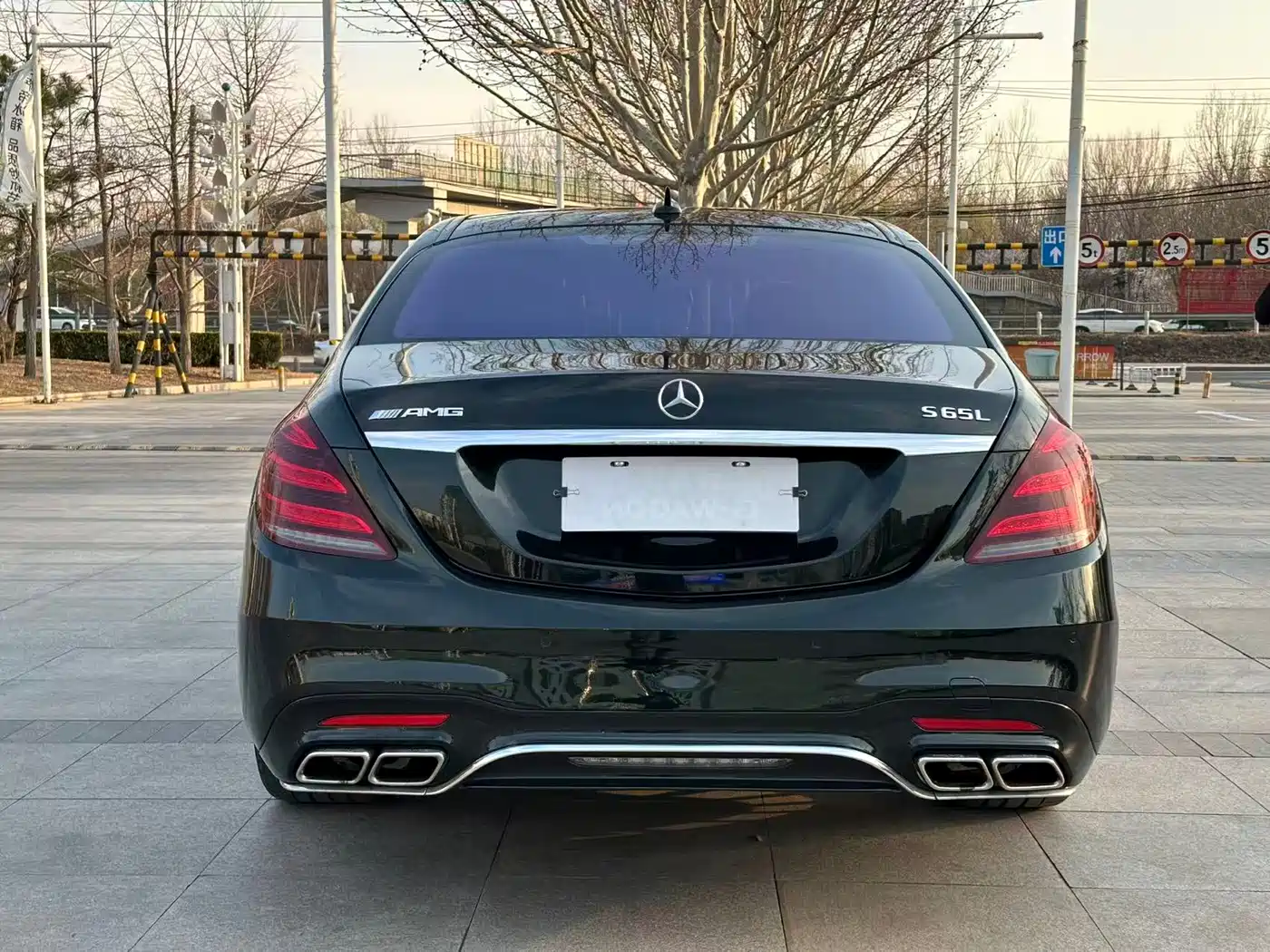 Mercedes-Benz S-Class AMG 2014 AMG S 65 L фото 4