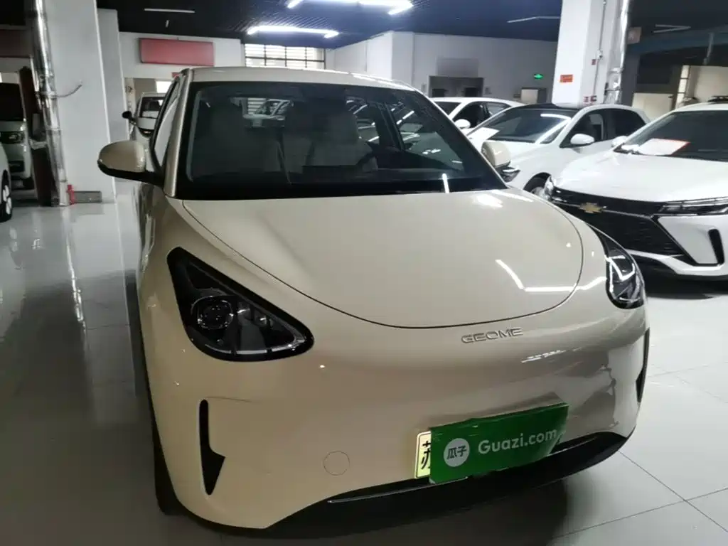 Geely Galaxy Starry Wish 2026 2026 Edition 310km Youth Version