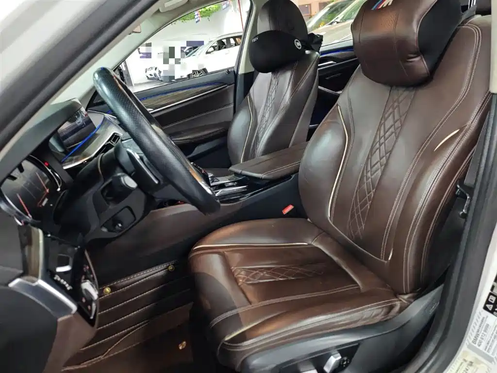 BMW 5 Series 2018 530Li xDrive Luxury Package фото 22