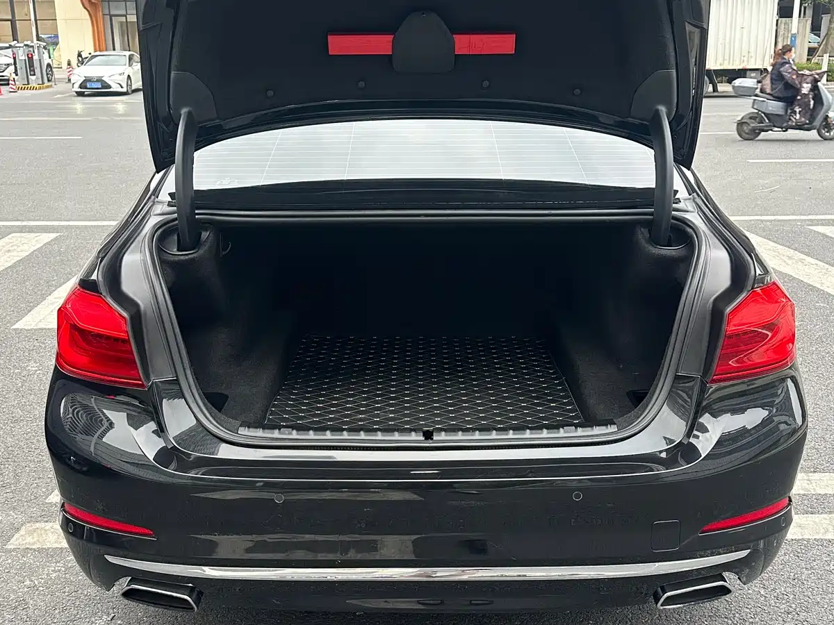 BMW 5 Series 2020 530Li Leading Luxury Package фото 17