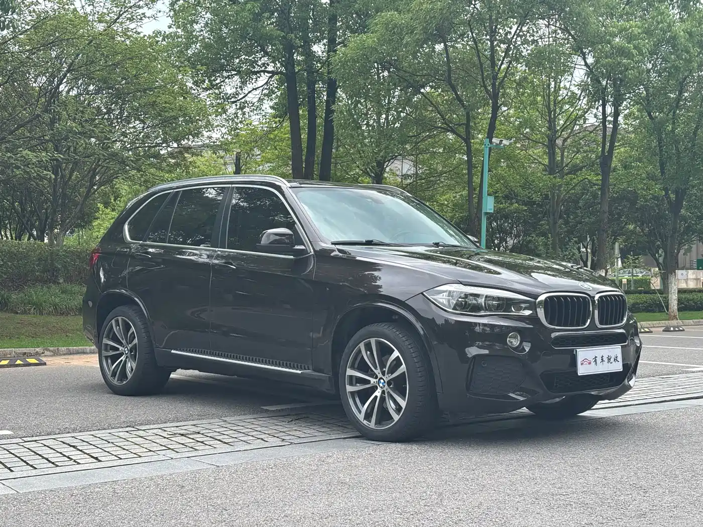 BMW X5 (Import) 2017 xDrive35i Elegance фото 3