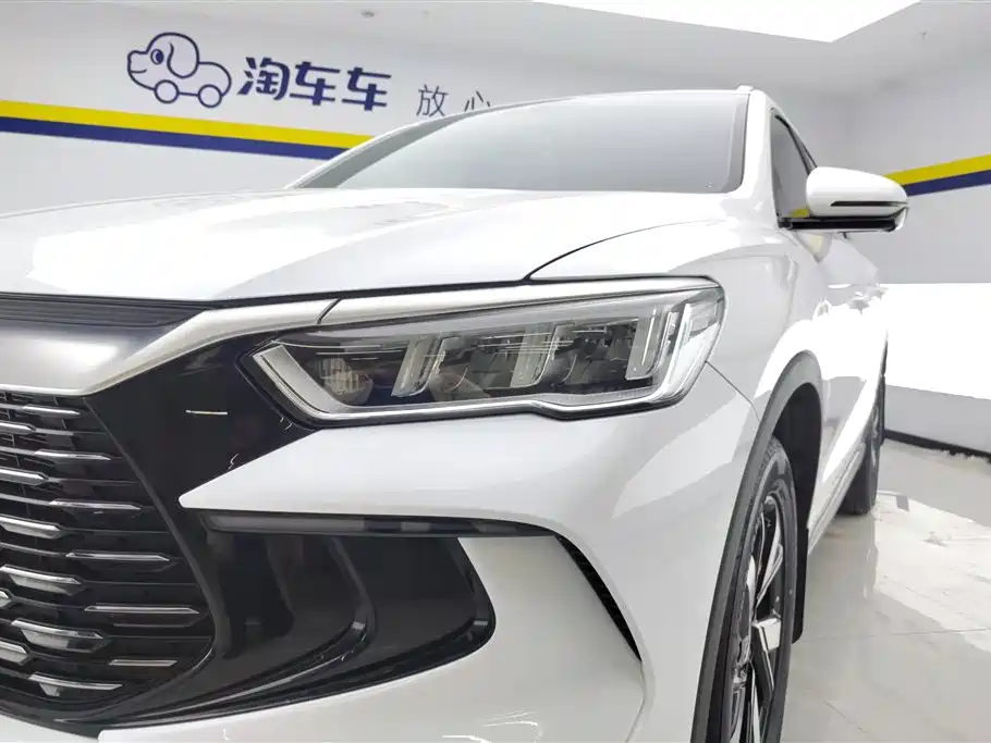 BYD Song Pro New Energy 2024 Glory Edition DM-i 71KM Pilot фото 5