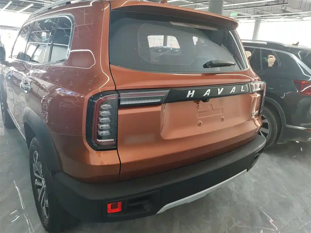 Haval Big Dog 2021 1.5T DCT 2WD Border Collie - Wangcai Edition фото 4
