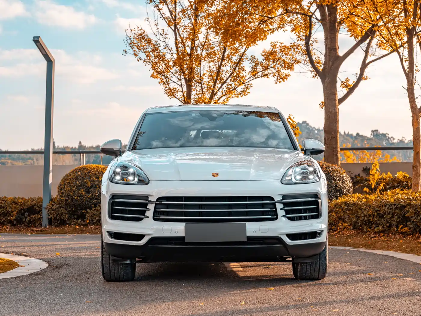 PORSCHE CAYENNE NEW ENERGY