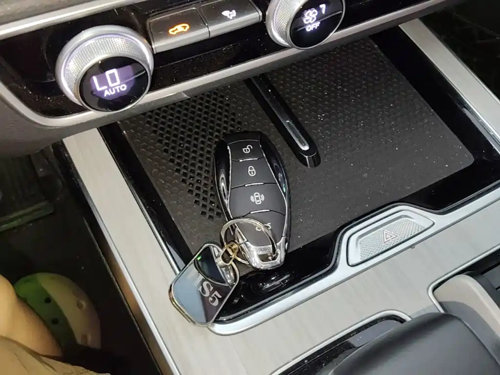 Hongqi HS5 2025 2025 2.0T 4WD Qixiang Pro