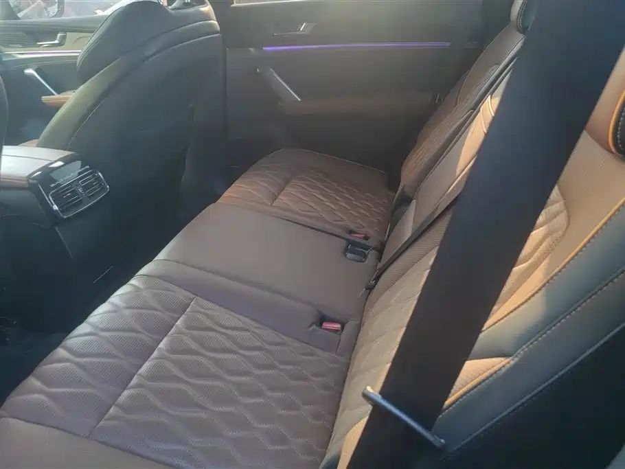 BYD Tang New Energy 2021 DM-i 112KM Honor фото 11