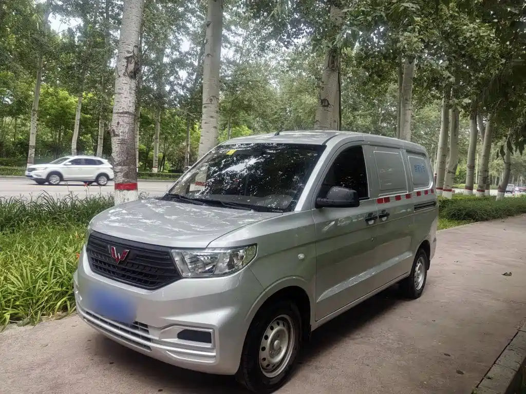 Wuling Motors Wuling Hongguang V 2025 2022 1.5L Dynamic Edition Windowless Van Hydraulic Power Steering LAR
