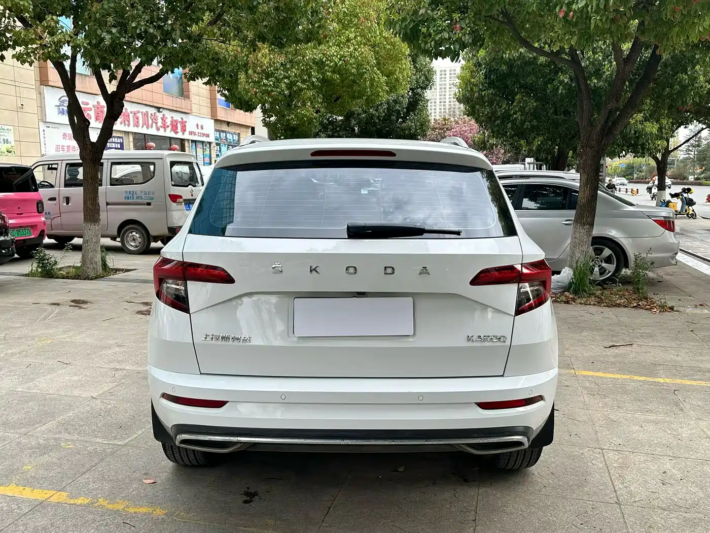Škoda Karoq 2023 TSI280 Luxury Edition фото 8