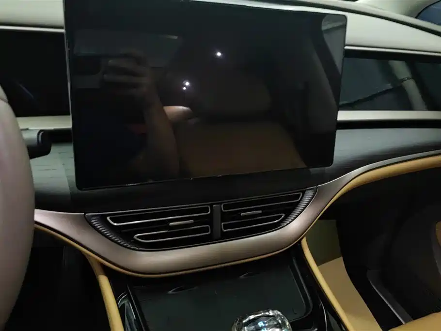Denza D9 2022 DM-i 970 AWD Flagship фото 13