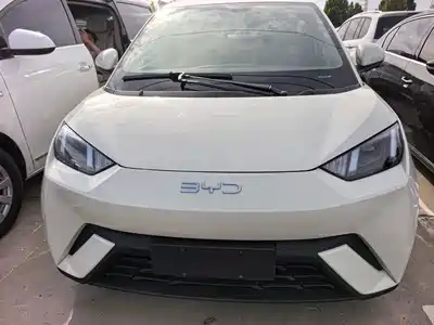 BYD Seagull