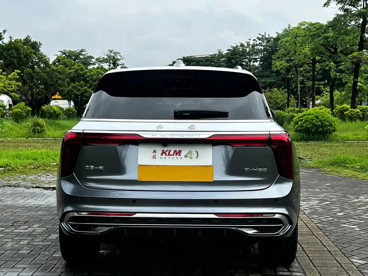 2023 Hongqi E-HS9