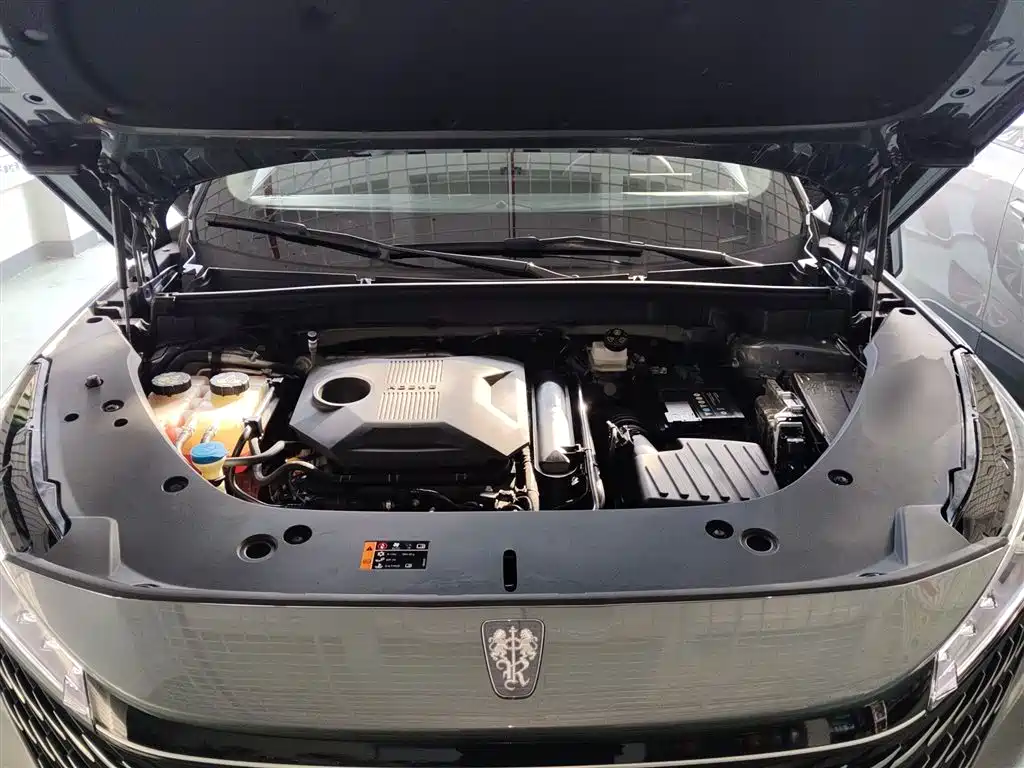 Roewe RX5 2024 2023 1.5T Luxury Sliding Screen Edition