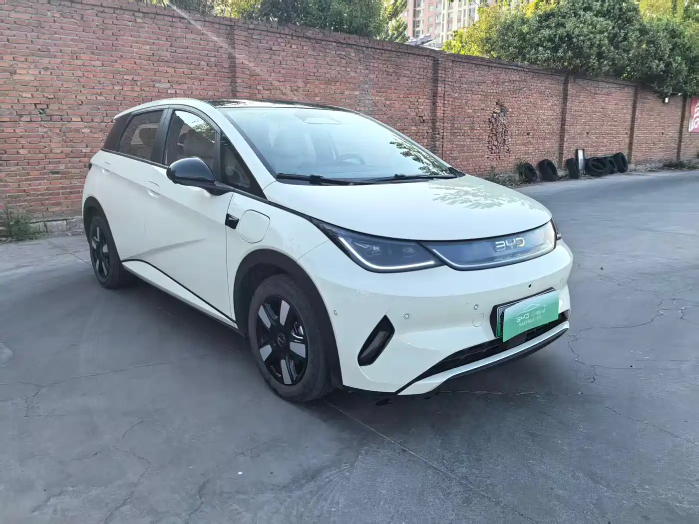 BYD Dolphin 2025 Smart Drive Edition 410km Fashion Version фото 3