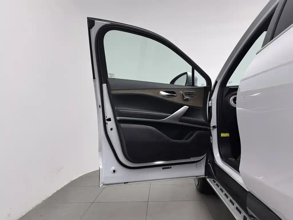 Denza X 2021 2020 Model PHEV Flagship Edition
