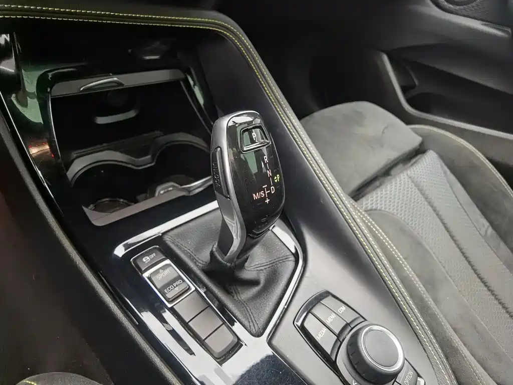 BMW X2 (Import) 2018 2018 sDrive25i Luxury M Off-Road Package China V