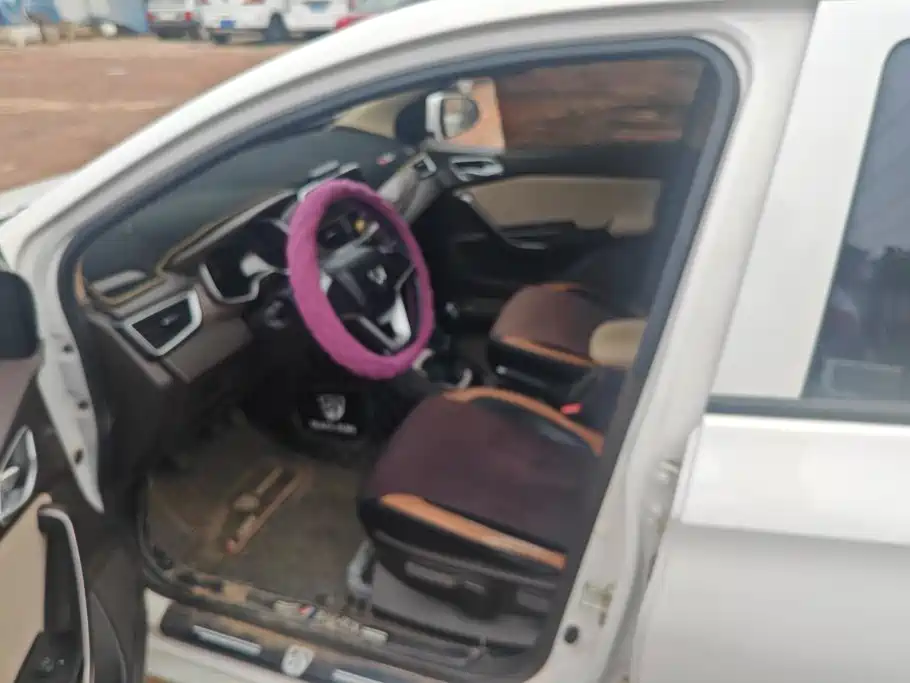 Baojun 310W 2021 2017 1.5L Manual Comfort China VI
