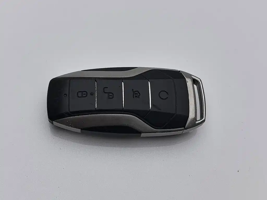 Denza X 2021 2020 Model PHEV Flagship Edition