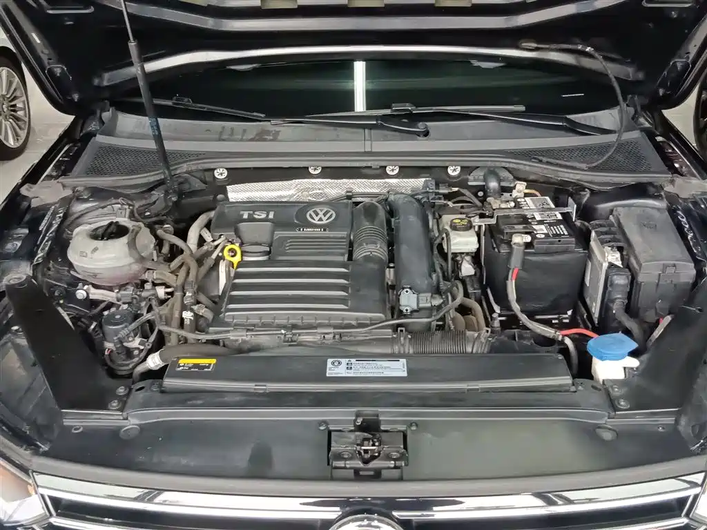 Volkswagen Magotan 2019 280TSI DSG Comfort China VI фото 20