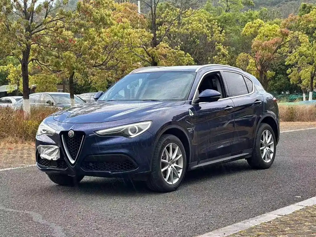 Alfa Romeo Stelvio 2018 2017 2.0T 200HP Luxury Edition