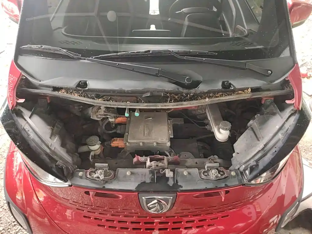 Baojun E100 2019 2019 250KM Smart Edition