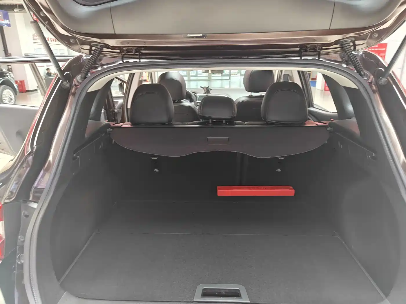 Renault Kadjar 2016 2016 2.0L 2WD Leading