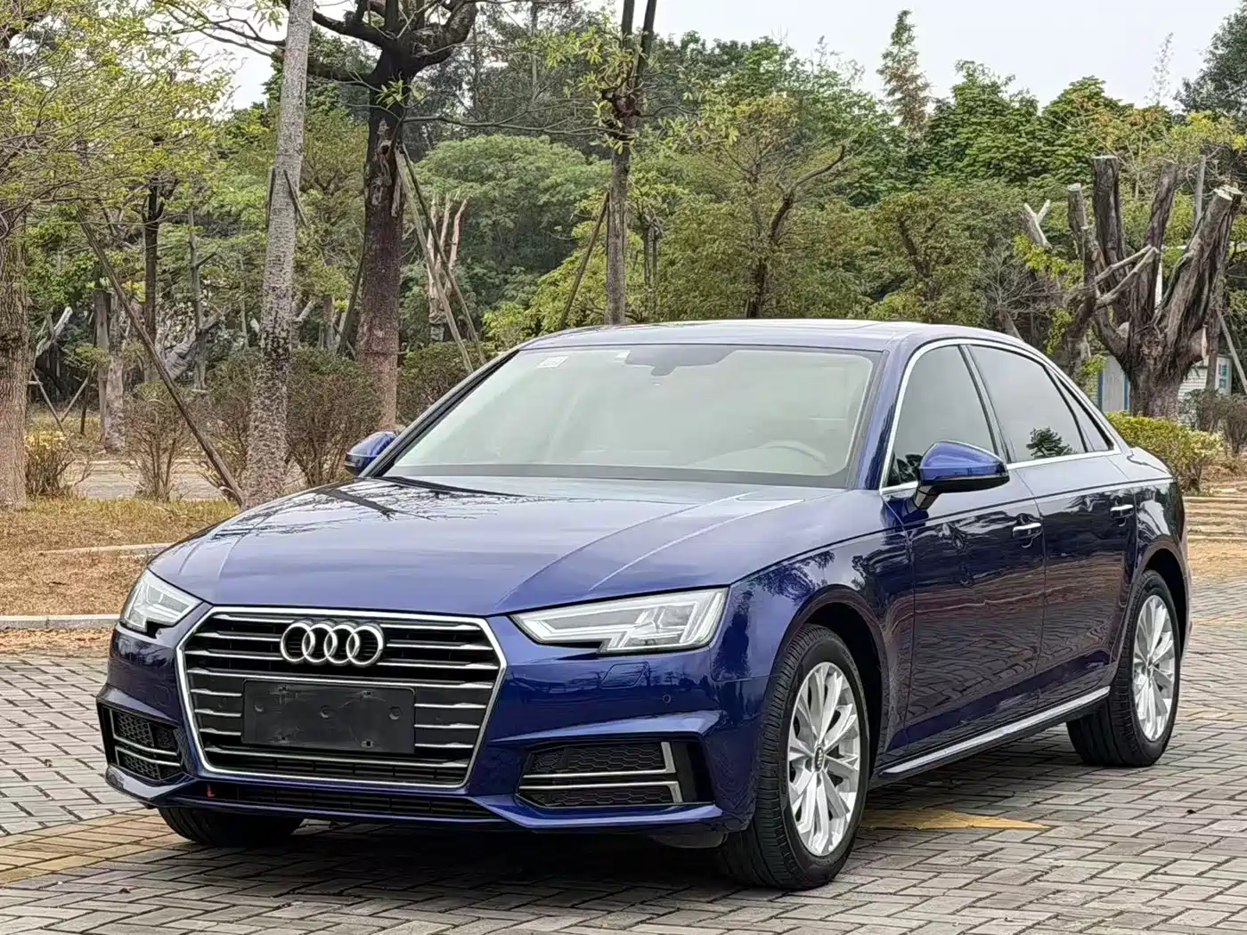 Audi A4L 2019 40 TFSI Progressive (China VI)