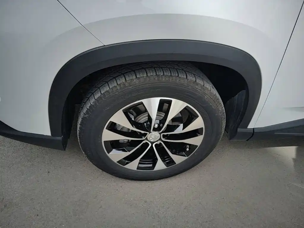 Baojun 530 2021 2021 Global Anniversary Edition 1.5T CVT Luxury 6-seater