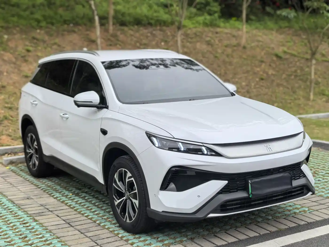 BYD SONGJIANG NEW ENERGY