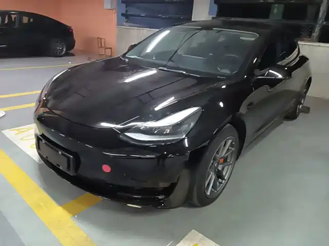 Tesla Model 3 Задний привод
