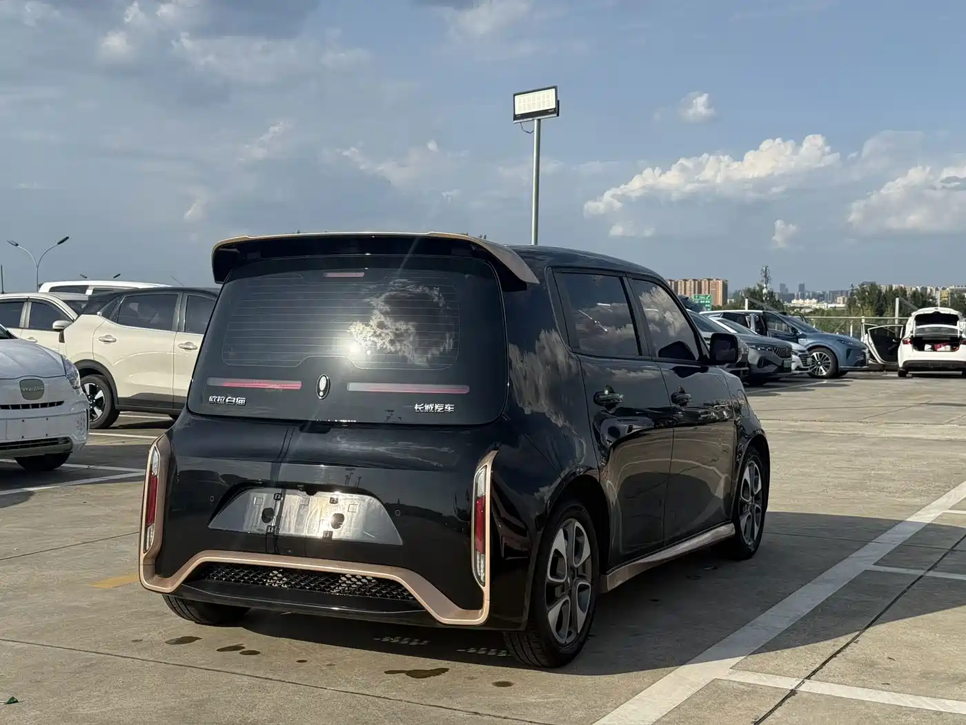 Ora White Cat 2022 2022 Wildcat Edition 360km Luxury (NMC)