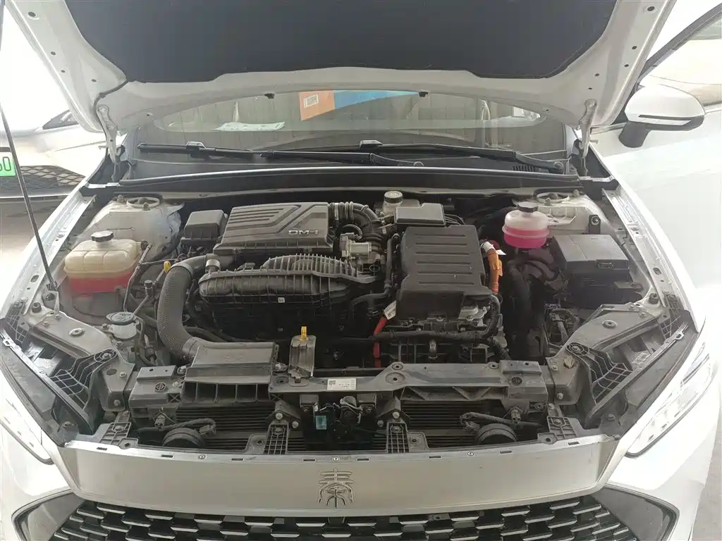 BYD Qin PLUS 2024 Glory Edition DM-i 55KM Leading фото 20