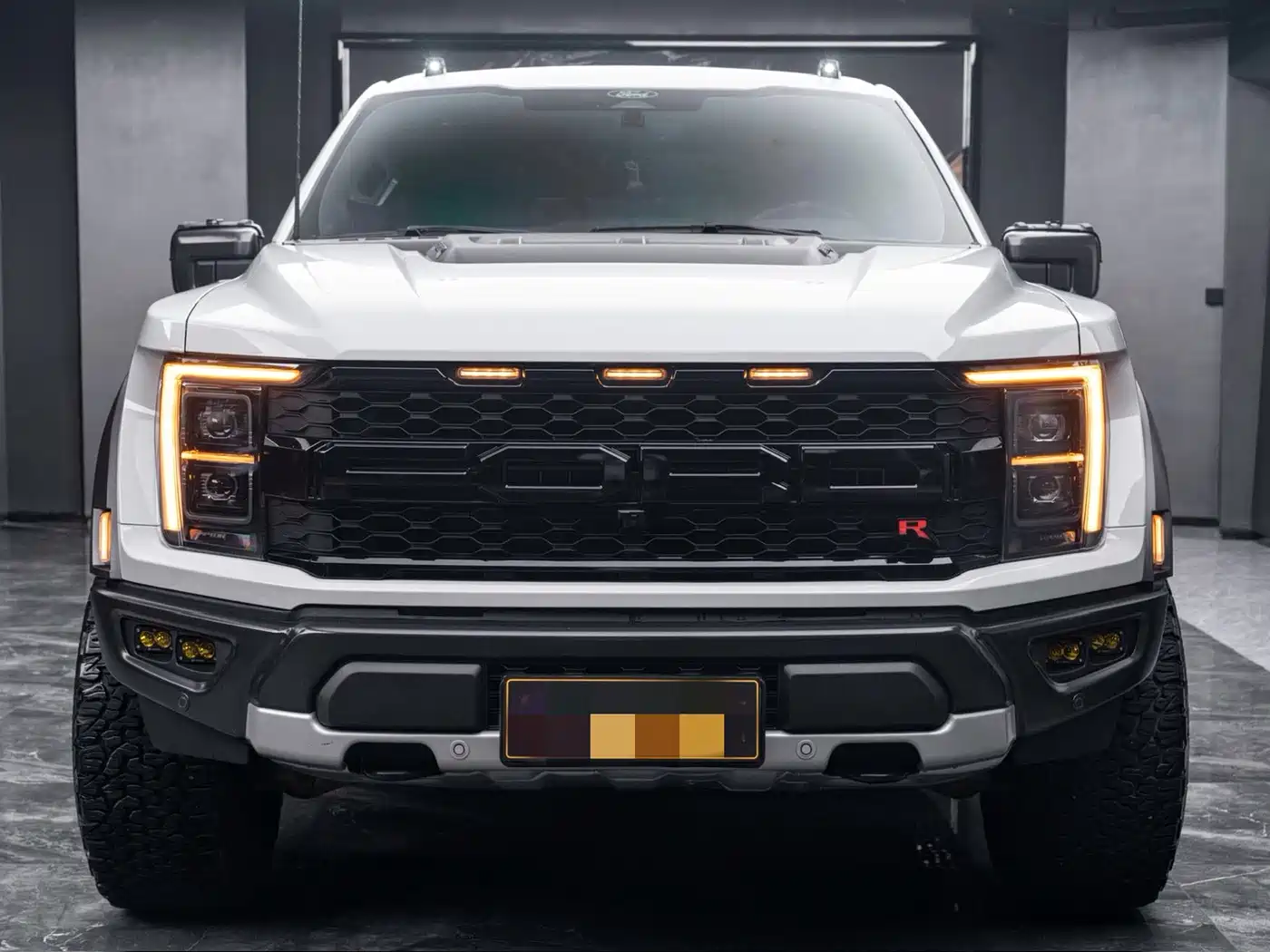 Ford F-150 Raptor 2024 2023 3.5T Raptor Snow Pride Special Edition