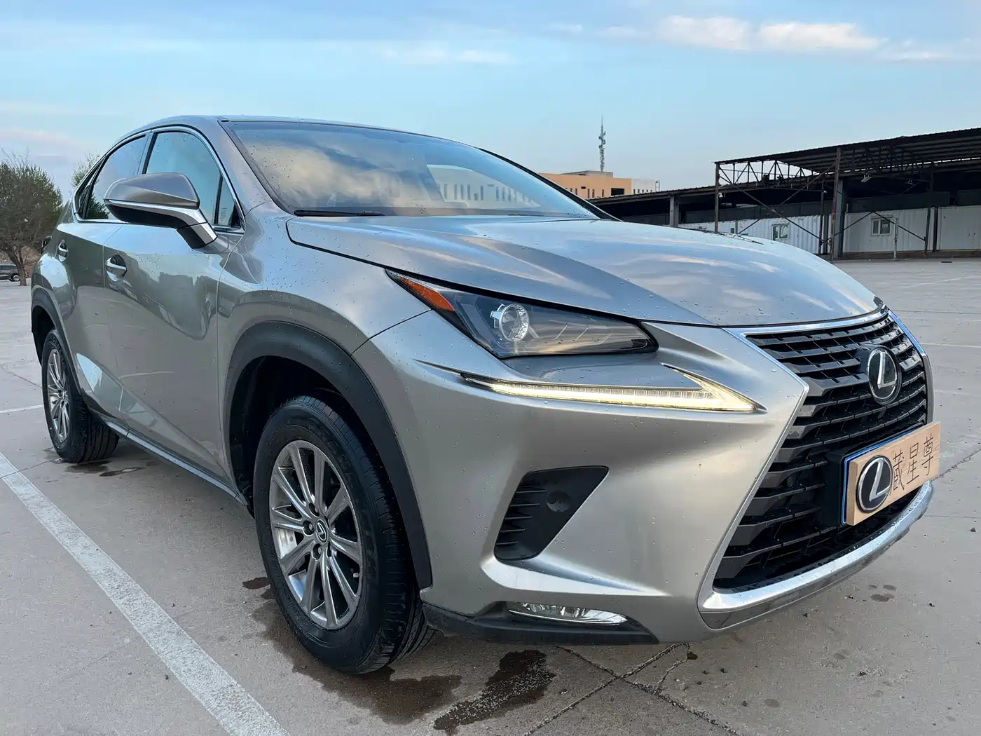 Lexus NX 2018 Model 300 FWD Fengxing Edition фото 4