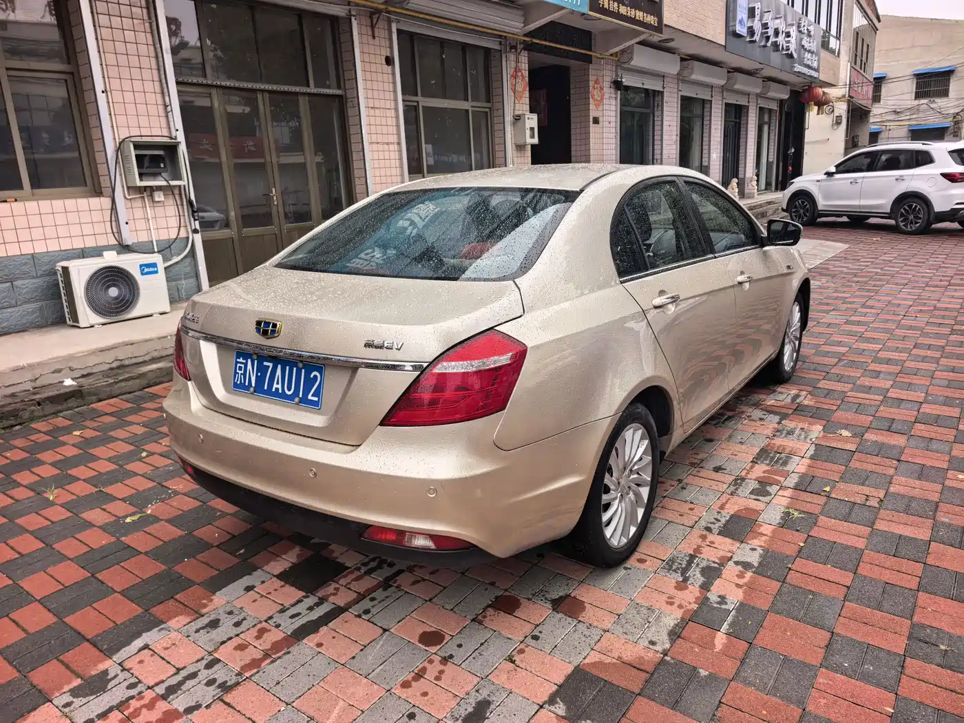 Geely Emgrand New Energy 2017 2017 EV300 Elite