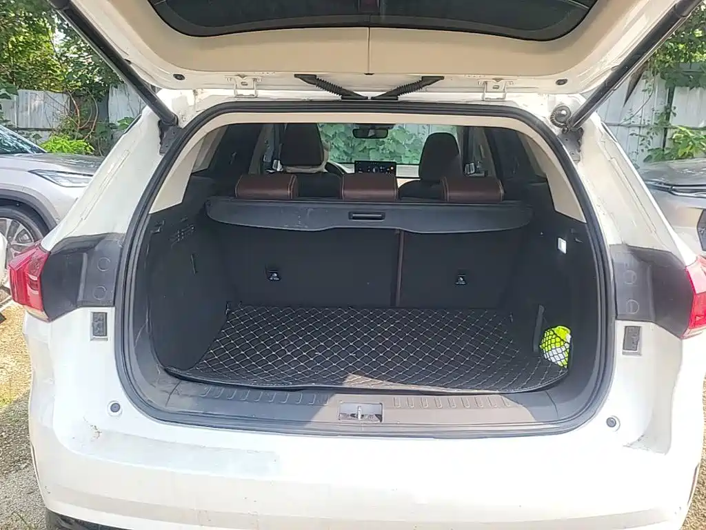 WEY VV6 2021 2021 2.0T 2WD Smart Enjoyment+