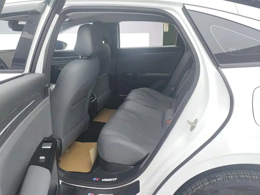 Geely Galaxy Galaxy L6 2025 EM-i 140km Voyage Edition фото 11