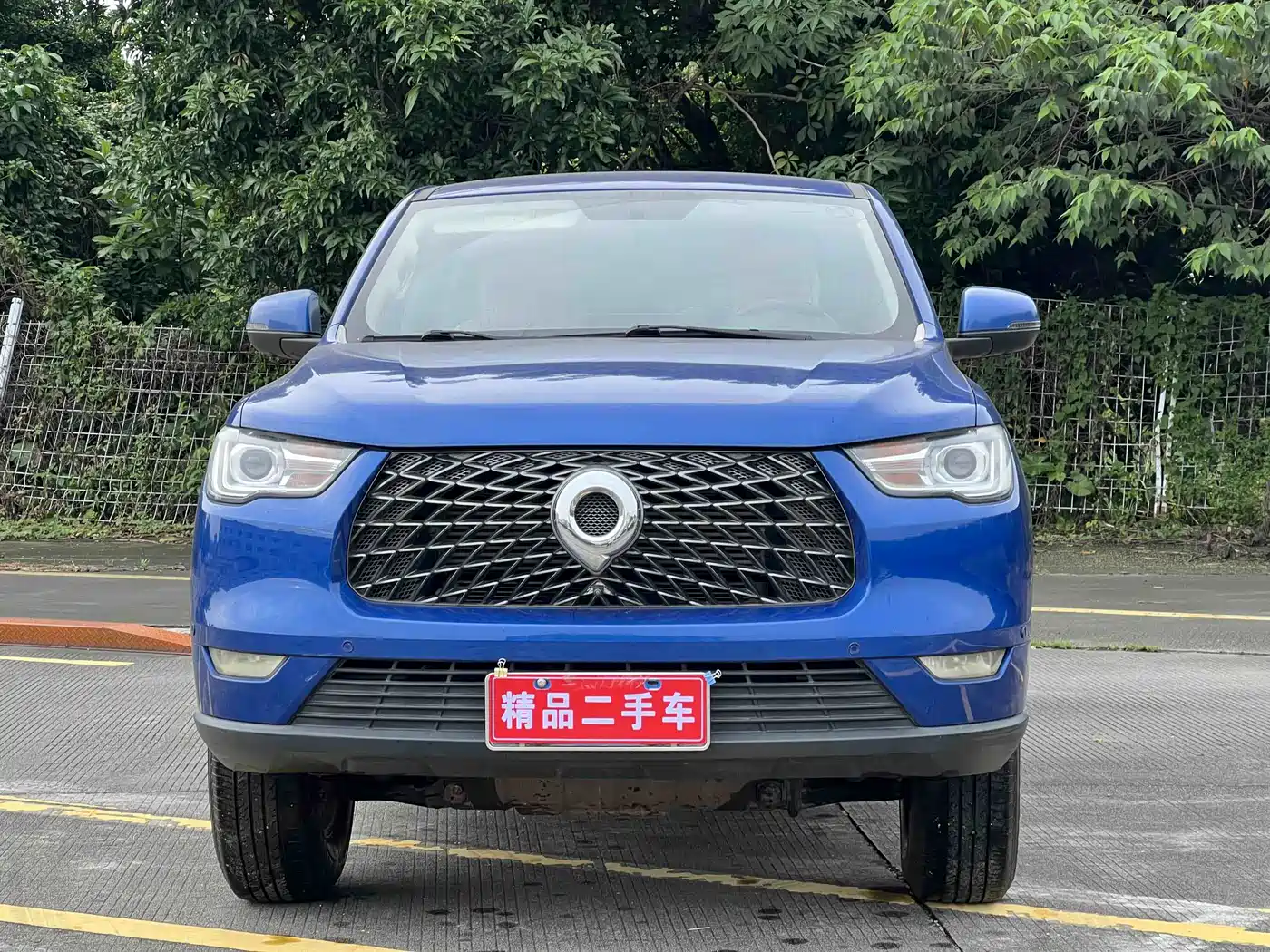 Фото 3 - Great Wall Pao