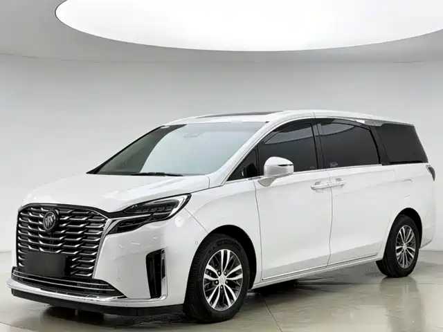 Buick GL8 ES Люкс, Престиж