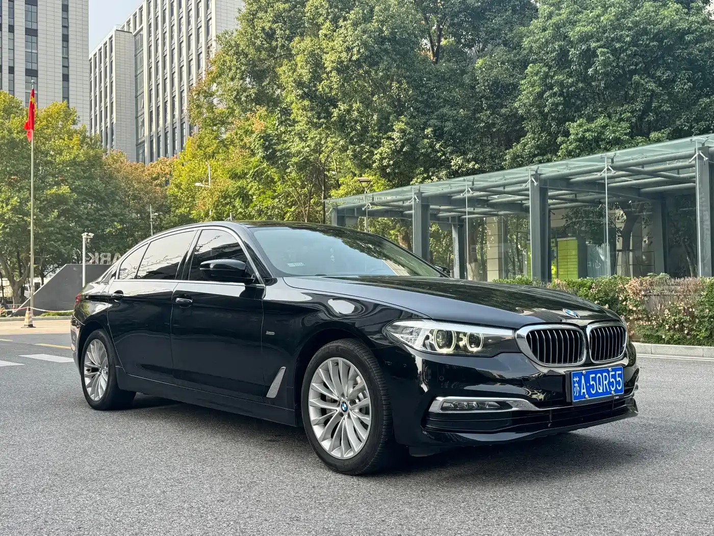 BMW 5 Series 2018 Facelift 530Li Leading Luxury Package фото 8