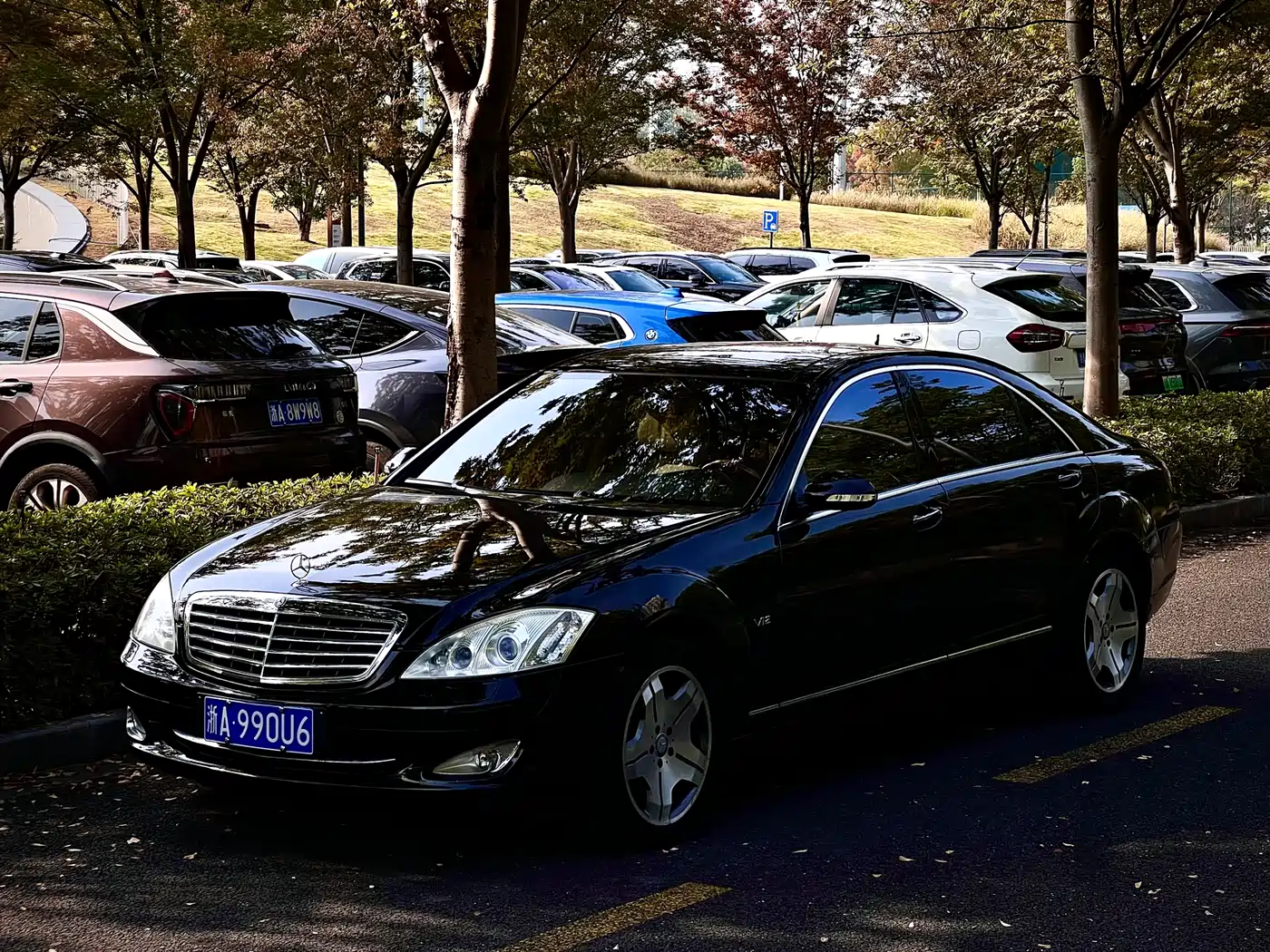 Mercedes-Benz S-Class 2008 Model S 600 L фото 4