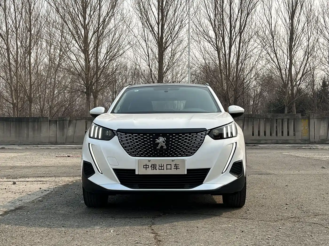 PEUGEOT 2008