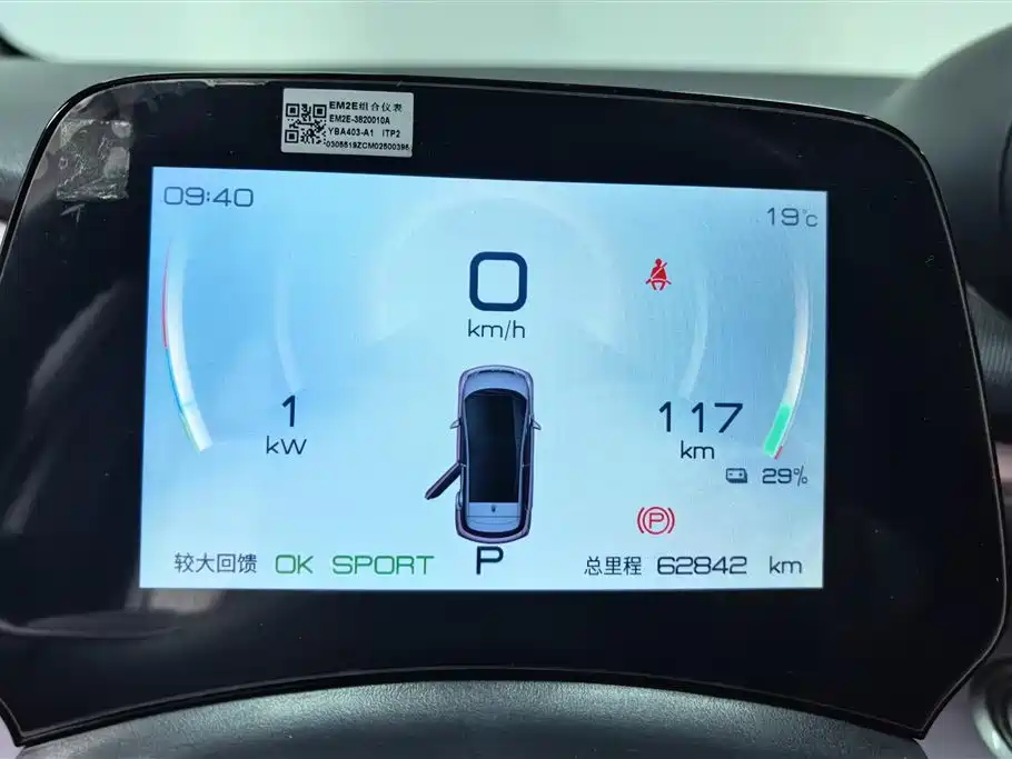 BYD Dolphin 2021 401km Knight Edition фото 14